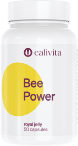 Bee Power