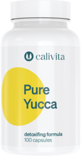 Pure Yucca