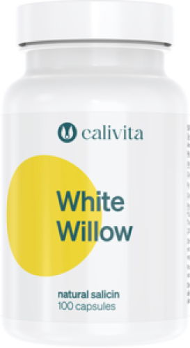 White Willow